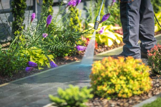 Best Restaurant Pressure Washing  in Shannon Hills, AR